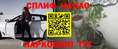 эйфоретик Бузулук