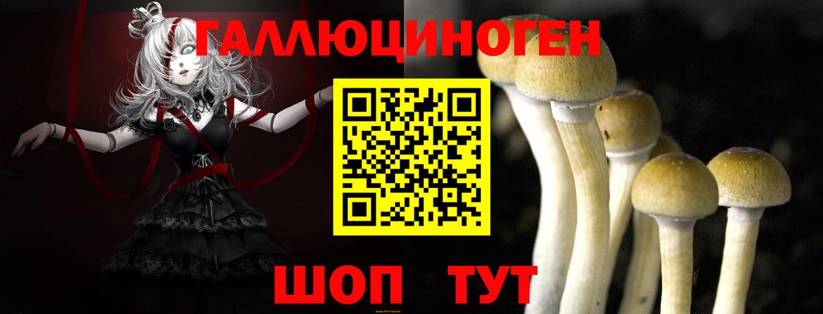 Сосновоборск  Псилоцибиновые грибы ЛСД  Вход с VPN 